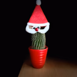santa cactus 1