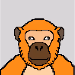 Legendary Golden Chimp 
