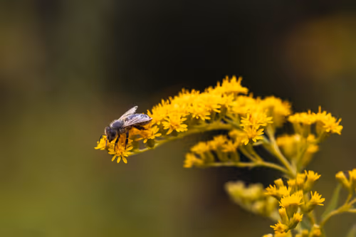 Item #82038507178112004707132471695972498506825775528903589266831690383001227624449 Media