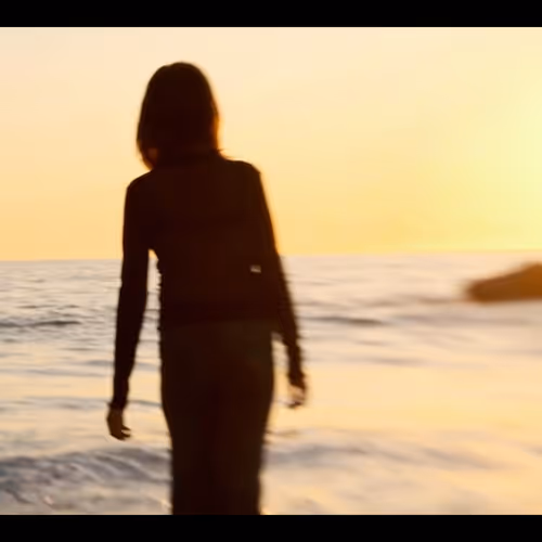 thebaileydoge Collection