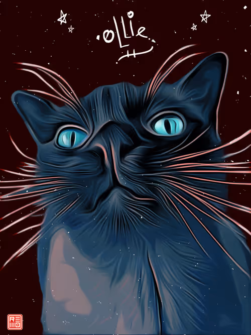 Item #43381229822274282825470726247722996036852230651279113553325937863957684420609 Media