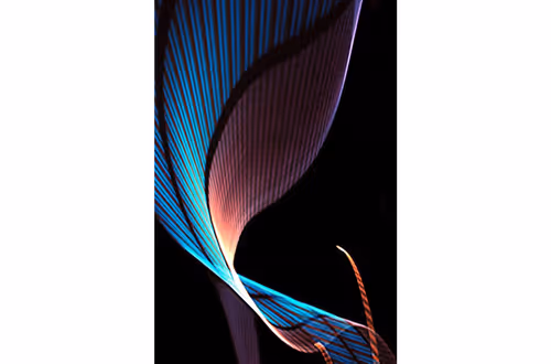 Item #89720646548455089969674592271052720382662226385340746960429332562771343048705 Media