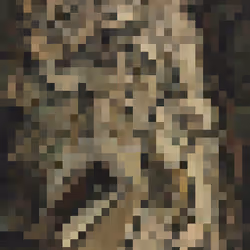 Dump