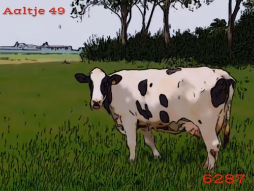 Item #106168068867162485094593885732241547229015412580842941571810197530751203803137 Media