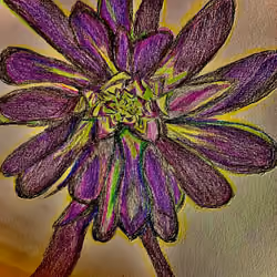 Dark Succulent