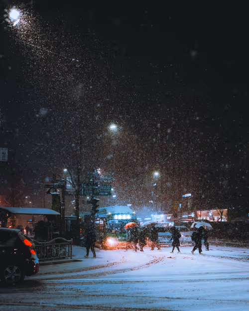 Item #96745862257255462714249523811464070259827223018211403582317496728616200830977 Media