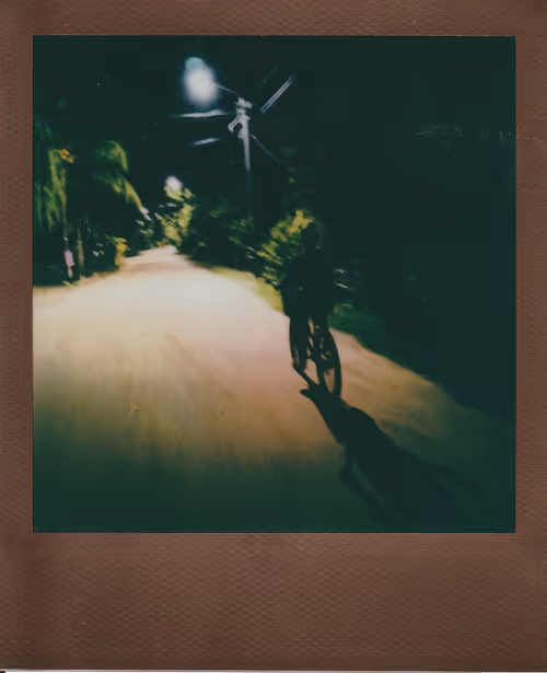 Item #103925043226850068411214111980778021596201122013188060205337914397197342867457 Media