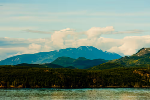 Item #888198070620530782295992843188489433267157345827485471243103217159902330881 Media