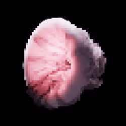 Portalos_5