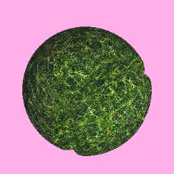 35342599194526675942797314804155433171702563051095129794763872230989239418881