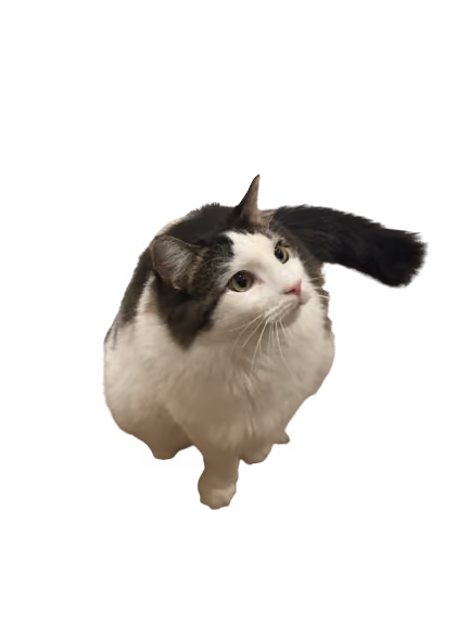Item #78770687501384158307179367848502076455878205720259361408903861659796343095297 Media