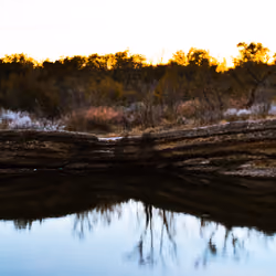 Reflections 
