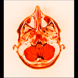 64162533542198579898252916190583583845604629893829087458582975791971994435585