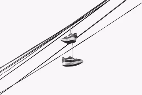 Item #44231692163325033527706634296024509461007343983716307526579858987937098104833 Media