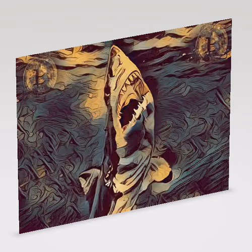 BTC_SHARK#007