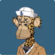 APE 4248: ANTHOLOGY