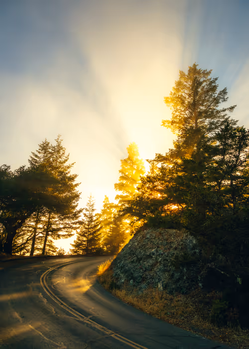 Item #99379921276153973634104125152908526548510783699959858376338453583200685916161 Media