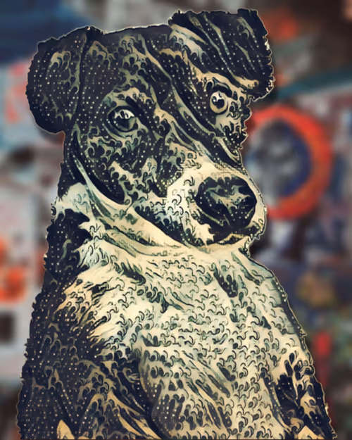 Item #78130481310736811720699625513350459712197011297885855401872198807538311888897 Media