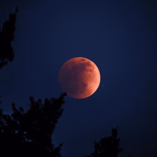 Alex Blackburn Editions