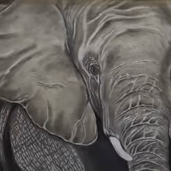 elephaNFT