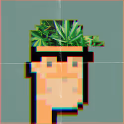 GoodHash Punk #020