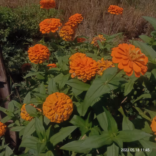 Item #15416064837448188610247350204521494909343598378477019548960405660889459458049 Media