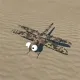 CryptoBuggies