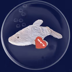 41776025324002017952572422073316458441069080831023694546850787121099966513153