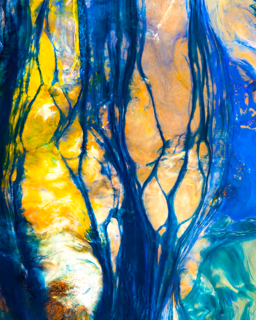 Item #29687457692452421683916759570224124960174280340362343155839281677256070529025 Media