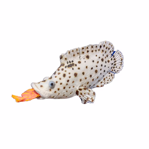 Item #9229184775601453528234625013194060345910383497059709964001987458118925156382 Media