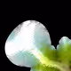 86679441914959260303801457414963149820672523162322378775539504631390949867521