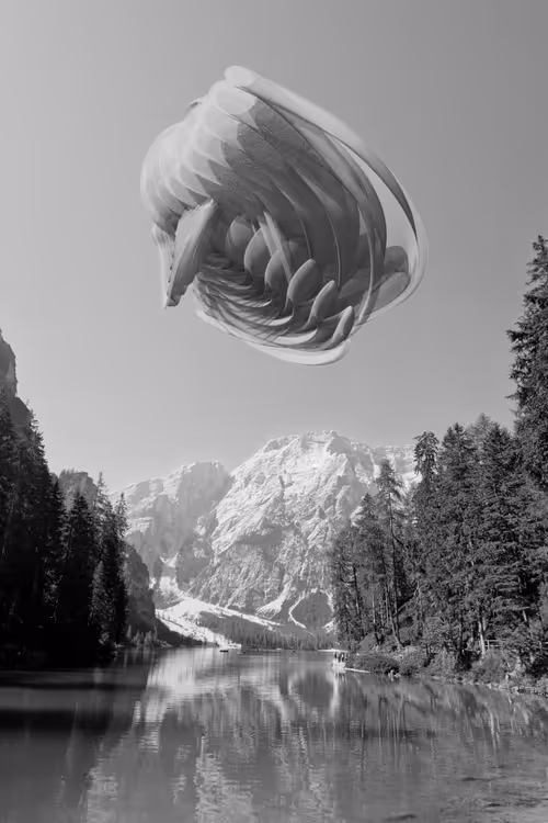 Item #70289046270216540615569387337235414738610929699744131839351085650368754876417 Media