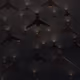 54878250812735075418850533307066598101298590955057696036439389627830323118081