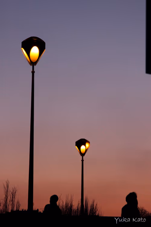 Item #111326101478107214990251795731047965840392207690526379209547236976289598406657 Media