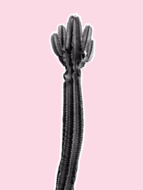 Item #25379124807980713745219244606437574046087384809022650852355167132411632812033 Media