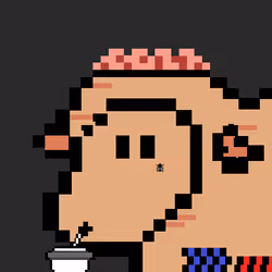 85122147178286775882516028388323701515228575826095020301917028779302269747201