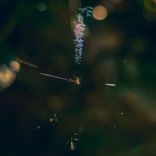 36803766187647196690517014366493952358167166362150973793678746419122371821569