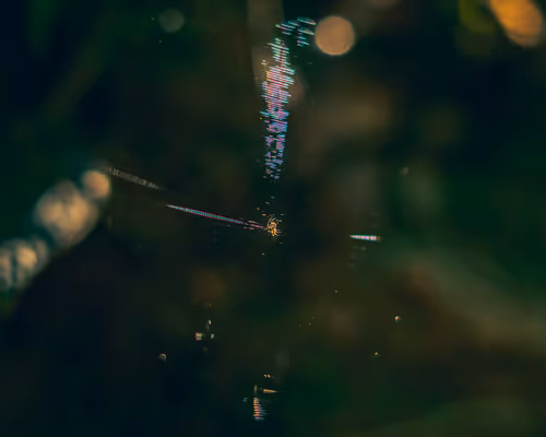 Item #36803766187647196690517014366493952358167166362150973793678746419122371821569 Media