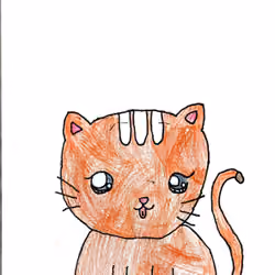 Orange Cat 1