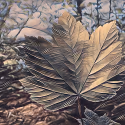 Mercur leaf
