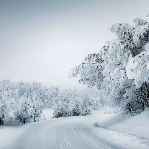 Frozensilence S3h2ODH2c6