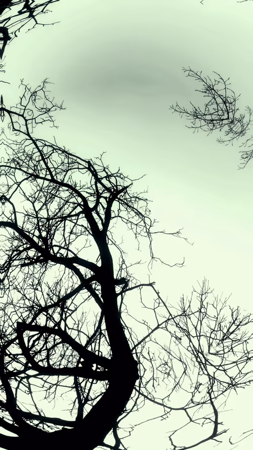 Item #24967146477419090921560663038626653354572651960968859782515528573592356782081 Media