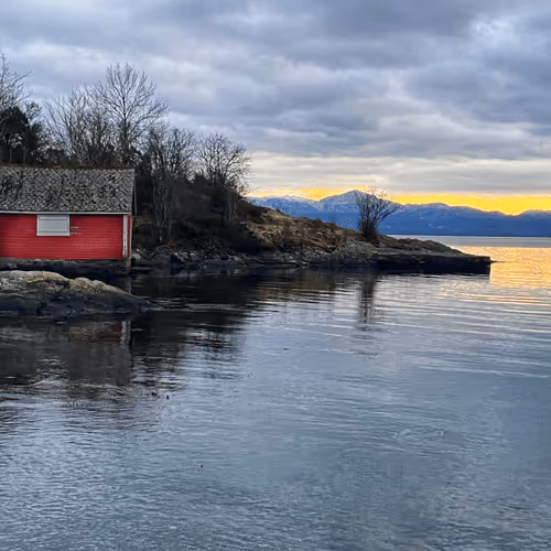 Untitled Collection #245258873 - old