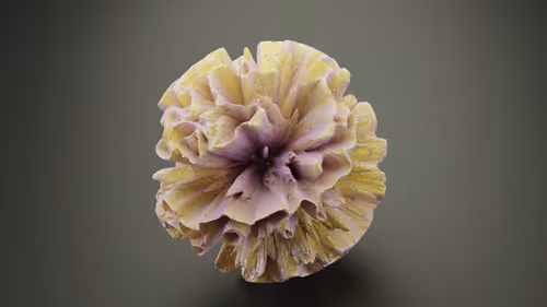 Item #54162300568103725826343189831171959365021078669884134013916714358649238061057 Media