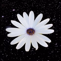 Nucleus (Interstellar Pistil)