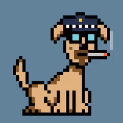 PunkDog #1606