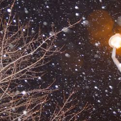 Snowfall