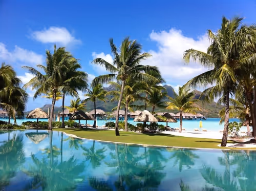 Item #68021680421370609917971695803708180506045537231368972803899735118610790612993 Media