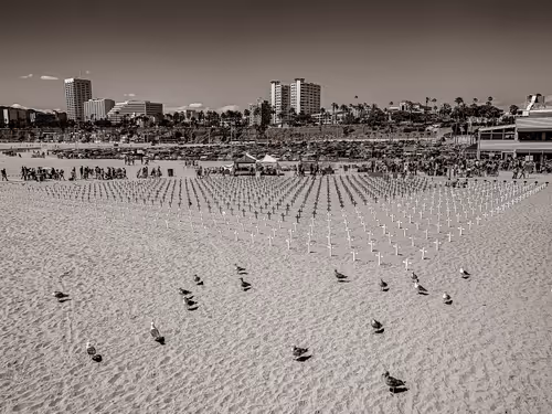 Item #26959255439957110233077989937802681477686360662735004345703791604632903483393 Media