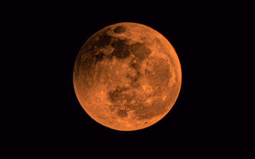 Item #52575804303161794449600573564715429190343404046060487203977302134608994762753 Media